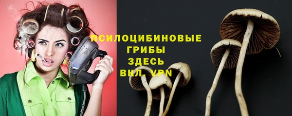 СК Абдулино