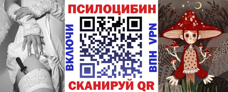mega маркетплейс  Зубцов  Псилоцибиновые грибы мицелий 
