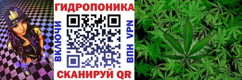 закладка  Зубцов  Бошки Шишки OG Kush 